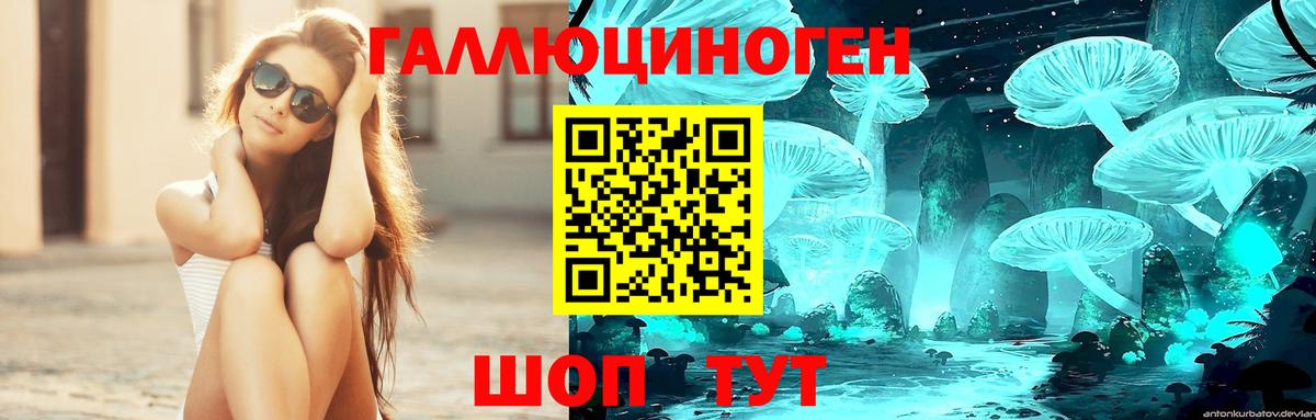 Вязьма  магазин продажи наркотиков  Вход с VPN  Псилоцибиновые грибы мухоморы  Псилоцибиновые грибы GOLDEN TEACHER 